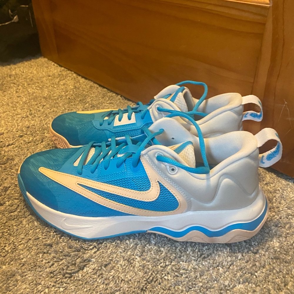 Mens Nike Giannis immortality 3